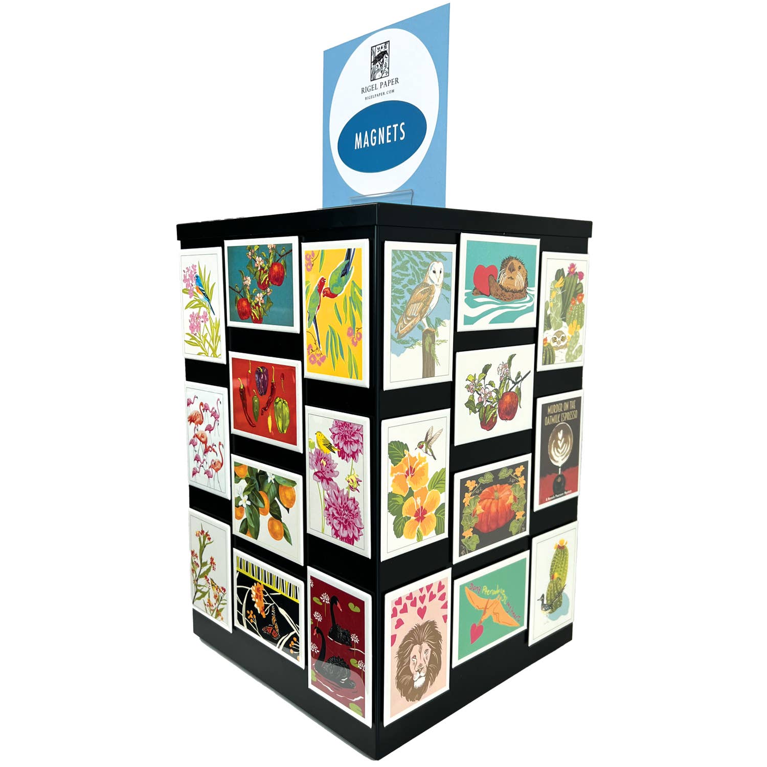 Kestrel Bird & Cactus Magnet Kestrel Bird & Cactus Magnet