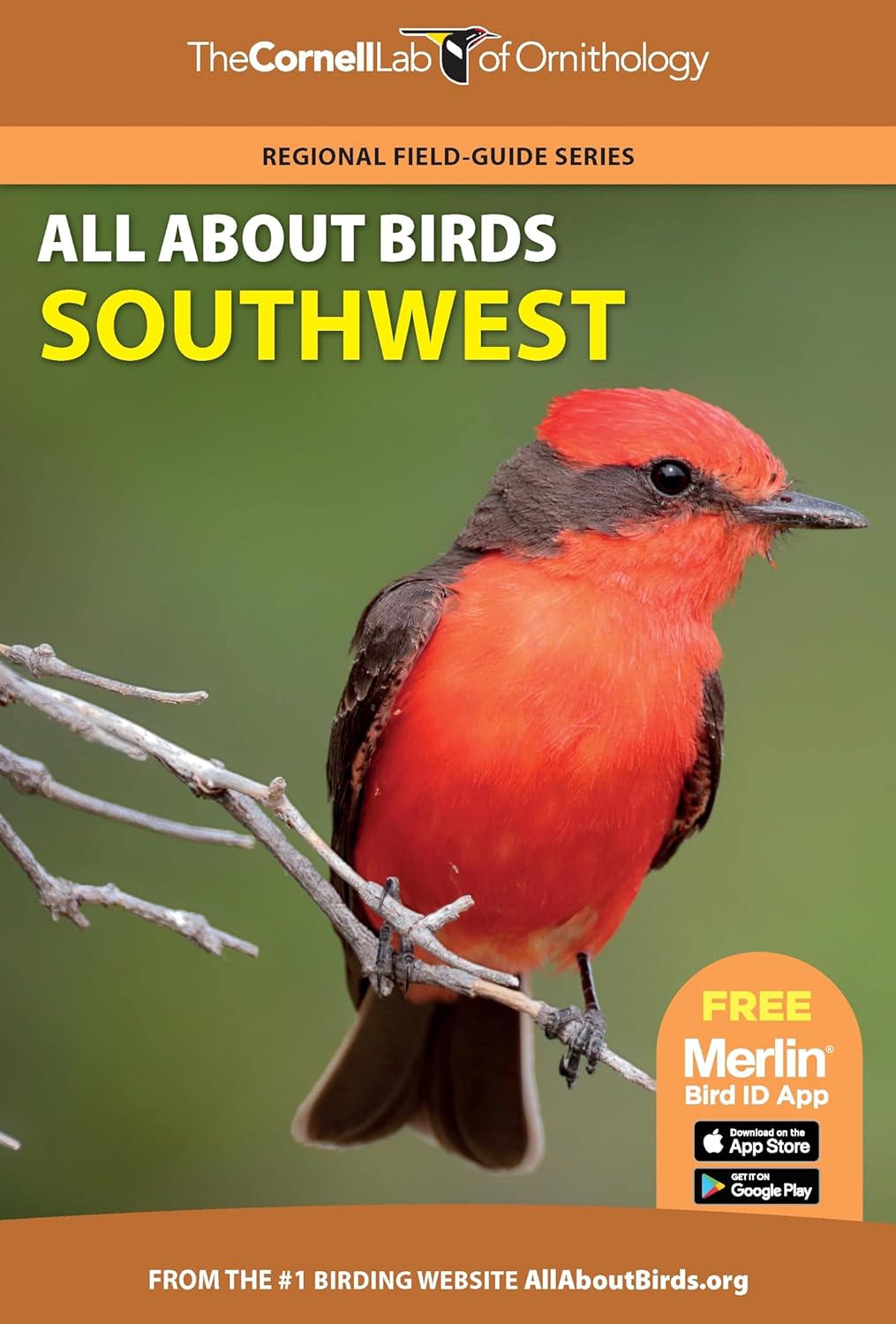 Southwest: All About Birds (Cornell Lab of Ornithology) Southwest: All About Birds (Cornell Lab of Ornithology)