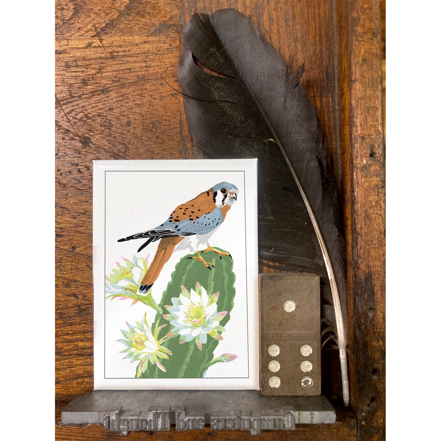 Kestrel Bird & Cactus Magnet Kestrel Bird & Cactus Magnet