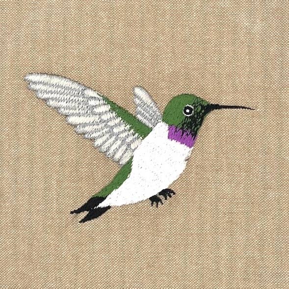Black-chinned Hummingbird Field Bag