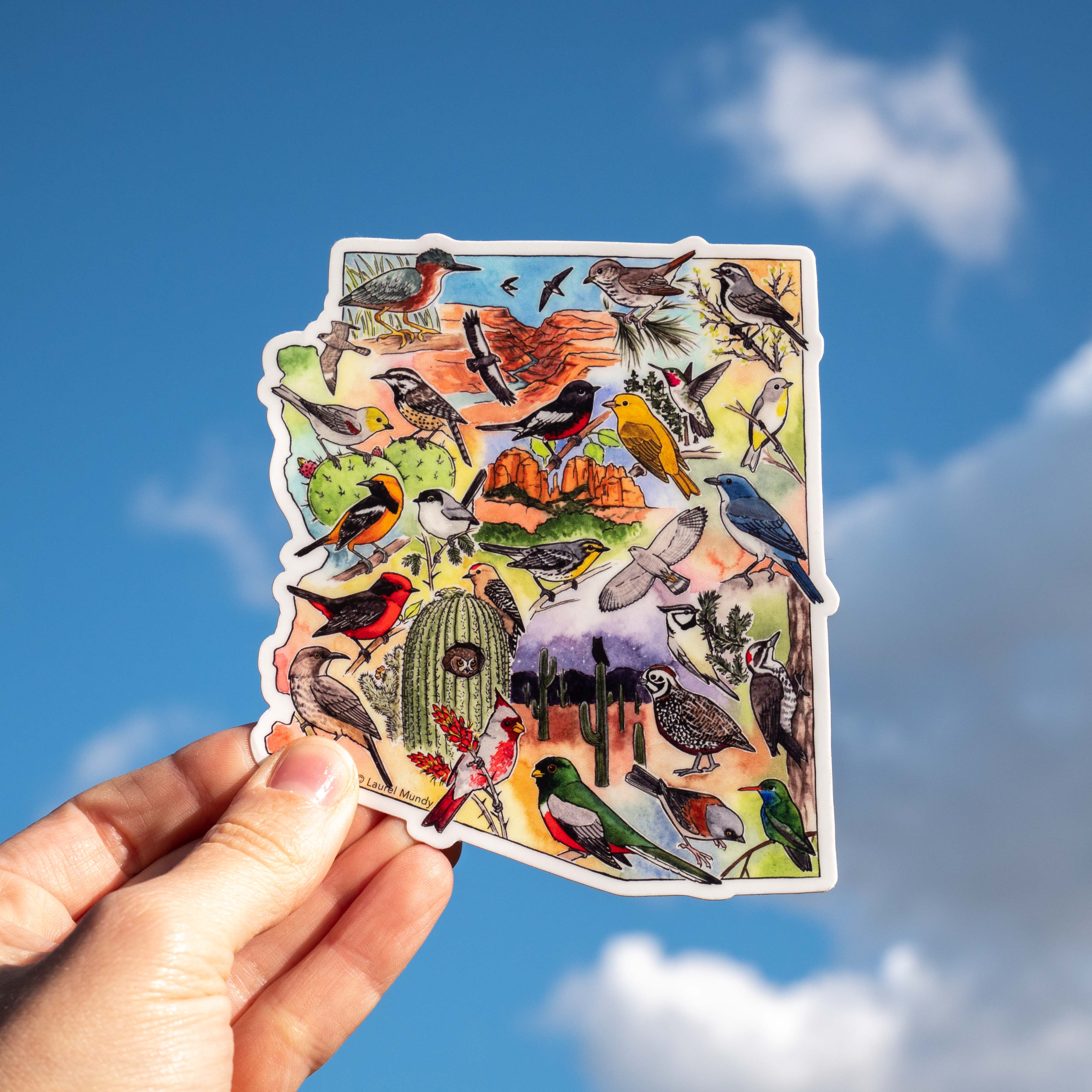 Birds of Arizona 5" Large Vinyl Sticker