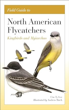 Field Guide to North American Flycatchers: Kingbirds and Myiarchus