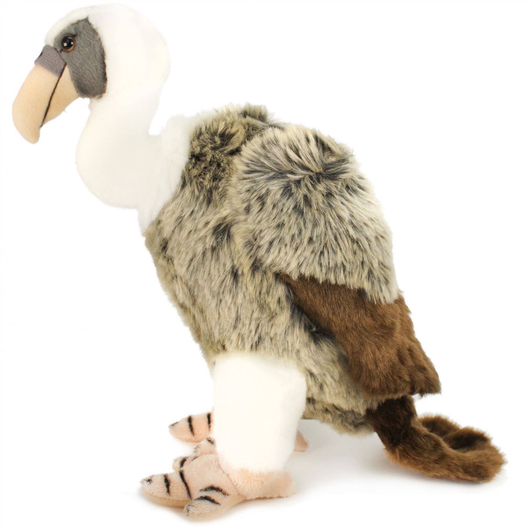 Violet The Vulture