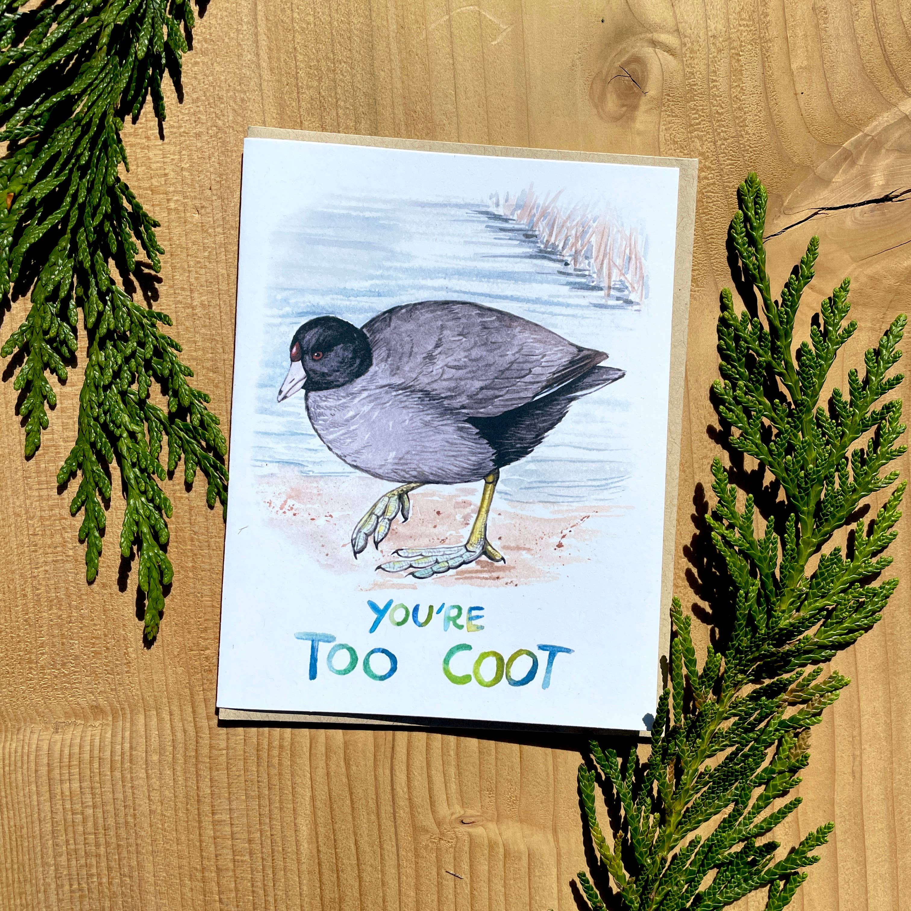 Too Coot American Coot Greeting Card 100% Recycled Paper: Packaging free