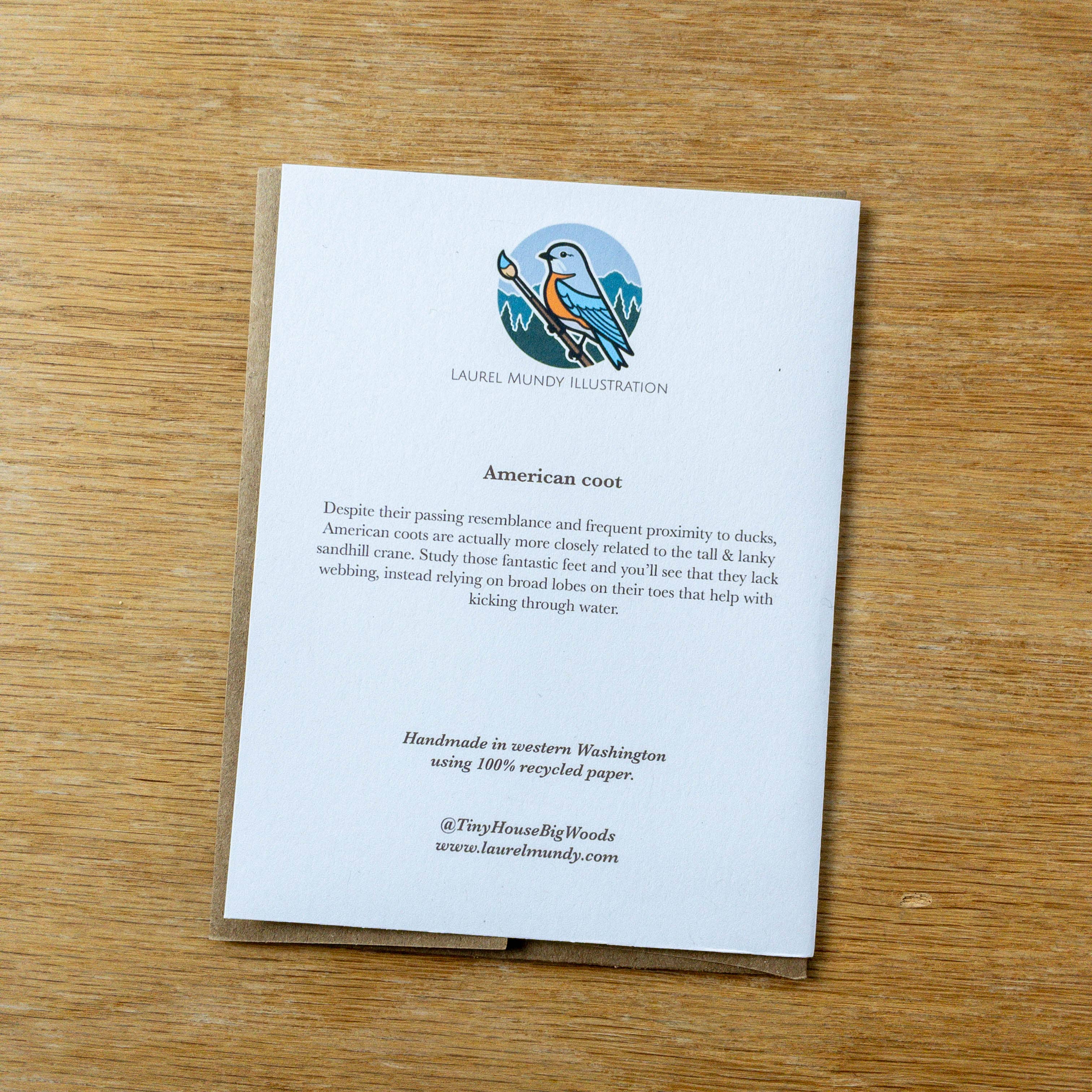 Too Coot American Coot Greeting Card 100% Recycled Paper: Packaging free