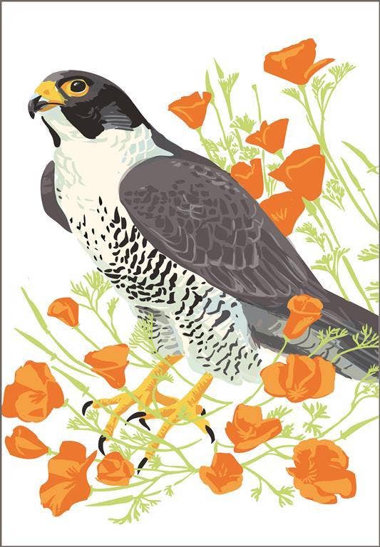 Peregrine Falcon & California Poppies Flower Magnet