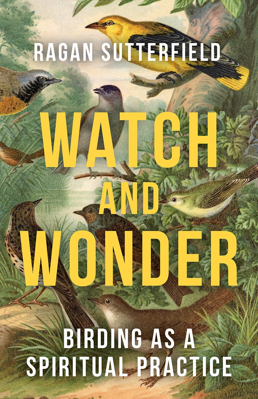 Watch and Wonder: Birding as a Spiritual Practice by Ragan Sutterfield