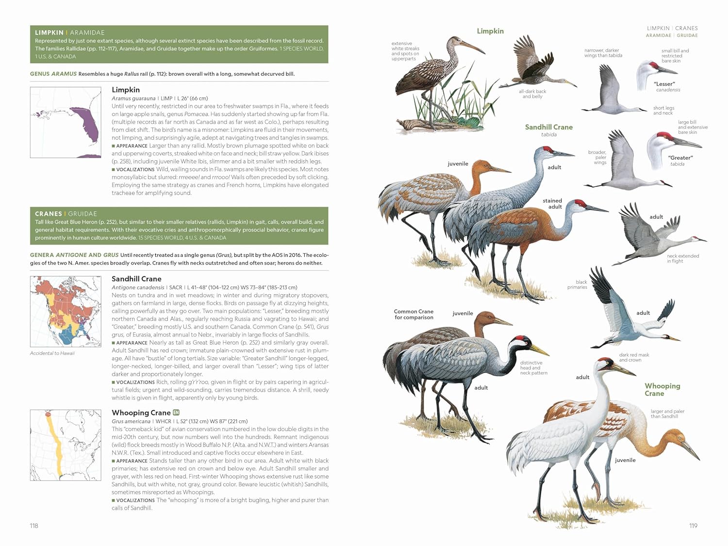 National Geographic Field Guide to the Birds of the United States and Canada, 8th edition