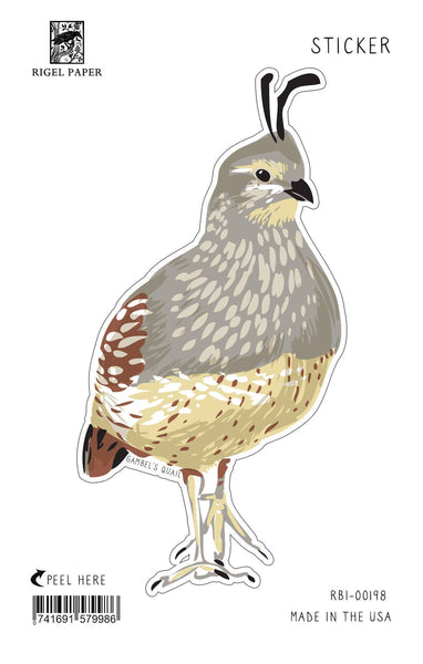 Gambel's Quail Bird Sticker