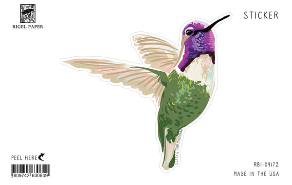 Costa's Hummingbird and Cactus Sticker