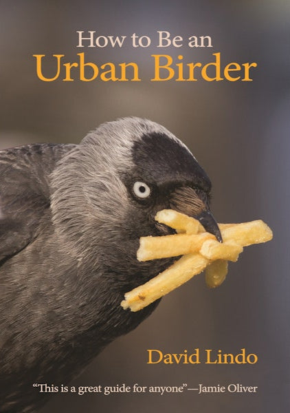 "How to be an Urban Birder" by David Lindo