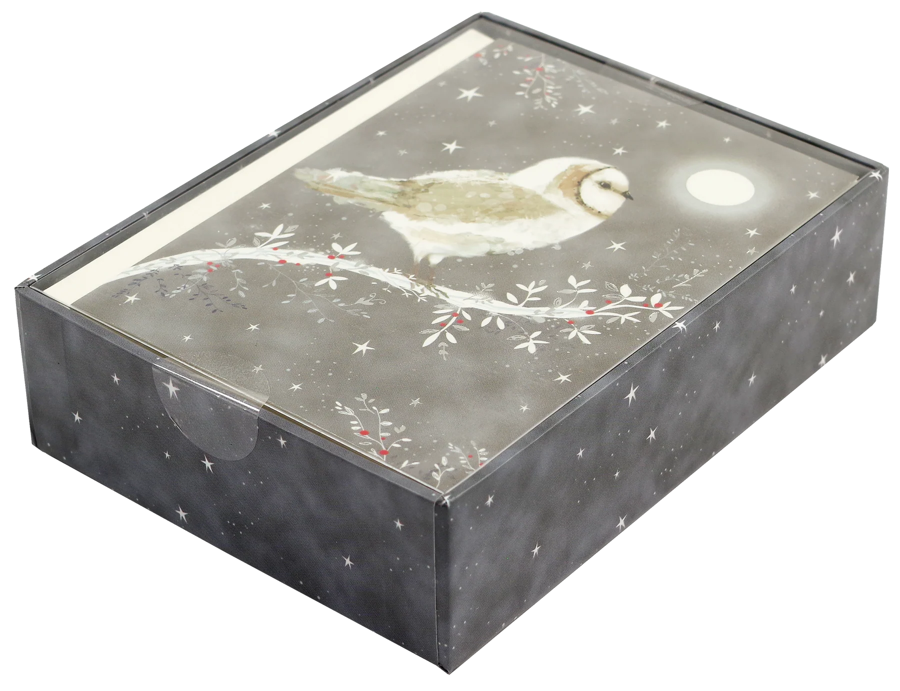 Starry Night Owl Boxed Holiday Cards