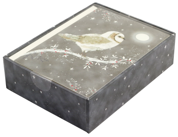 Starry Night Owl Boxed Holiday Cards