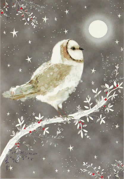 Starry Night Owl Boxed Holiday Cards