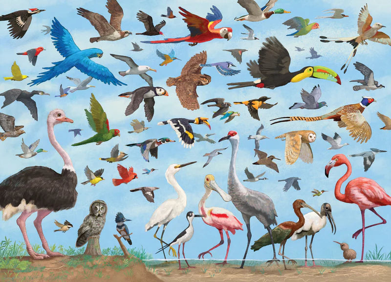 All the Birds in the World Puzzle