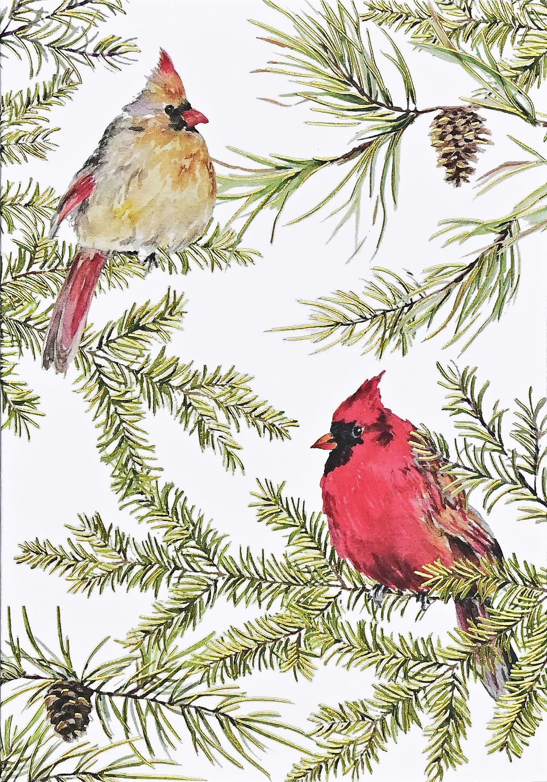 Cardinals in Evergreen: Boxed Cards