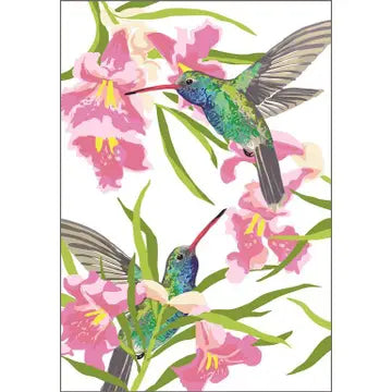 Broad-Billed Hummingbird and Desert Willow Magnet
