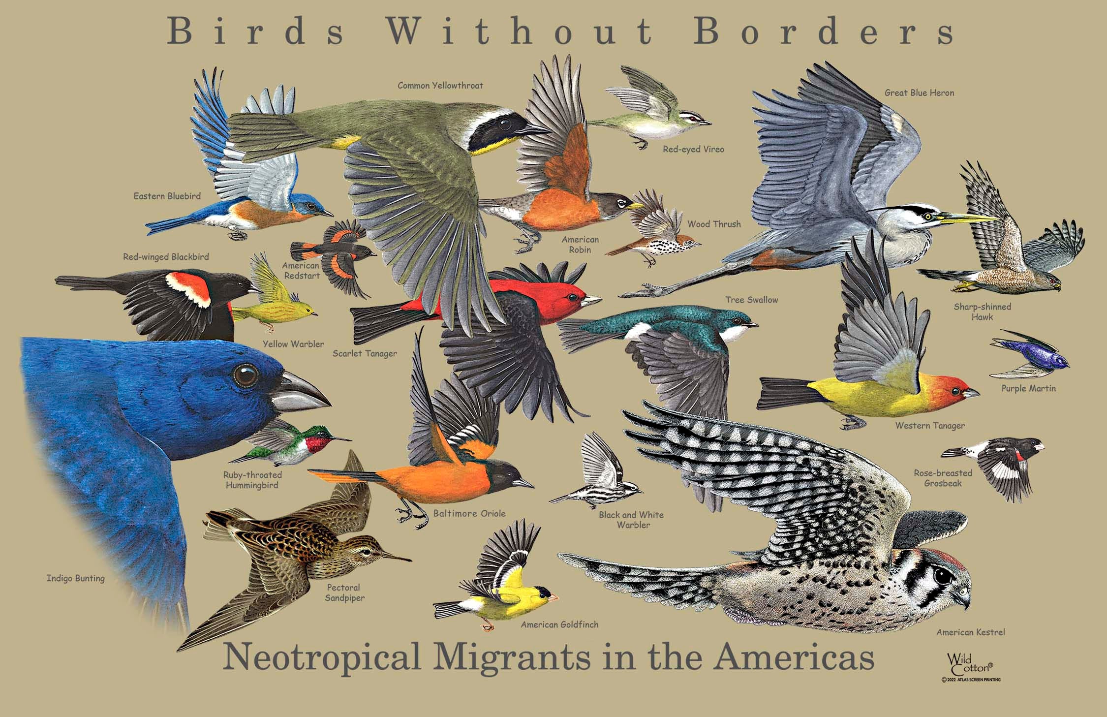 "Birds without Borders" by Atlas Screen Printing