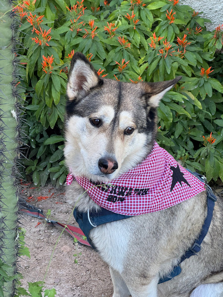 Mia is wearing gingham. 