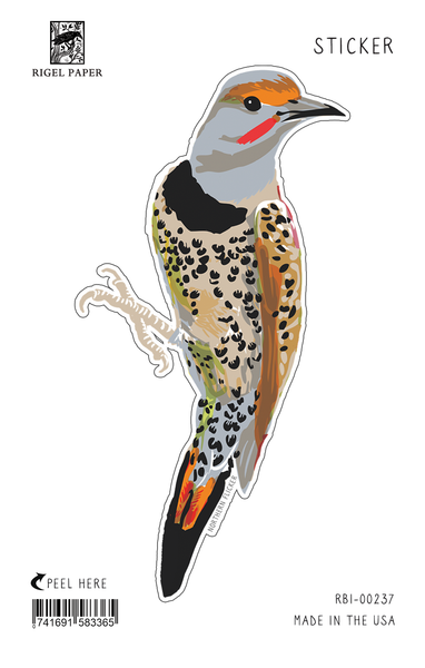 Northern Flicker Bird Sticker