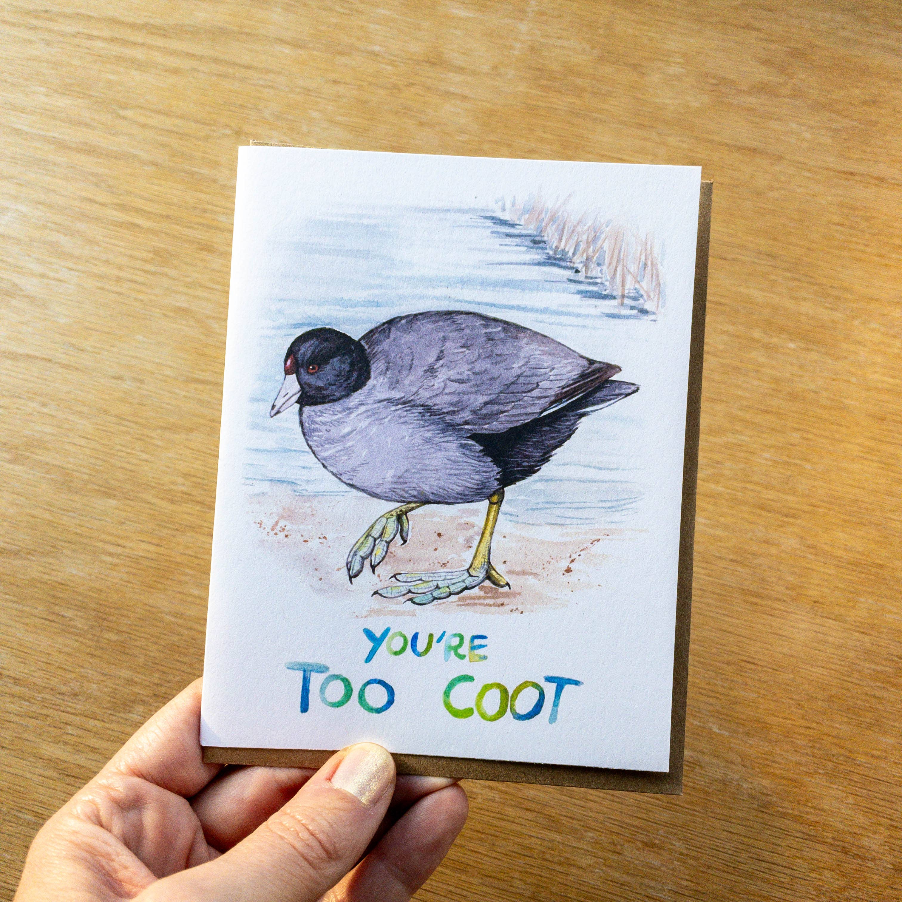 Too Coot American Coot Greeting Card 100% Recycled Paper: Packaging free
