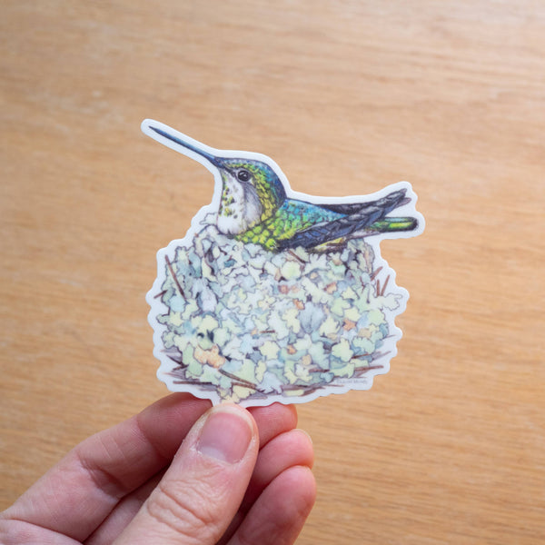 Hummingbird Mama 3" Medium Vinyl Sticker Waterproof