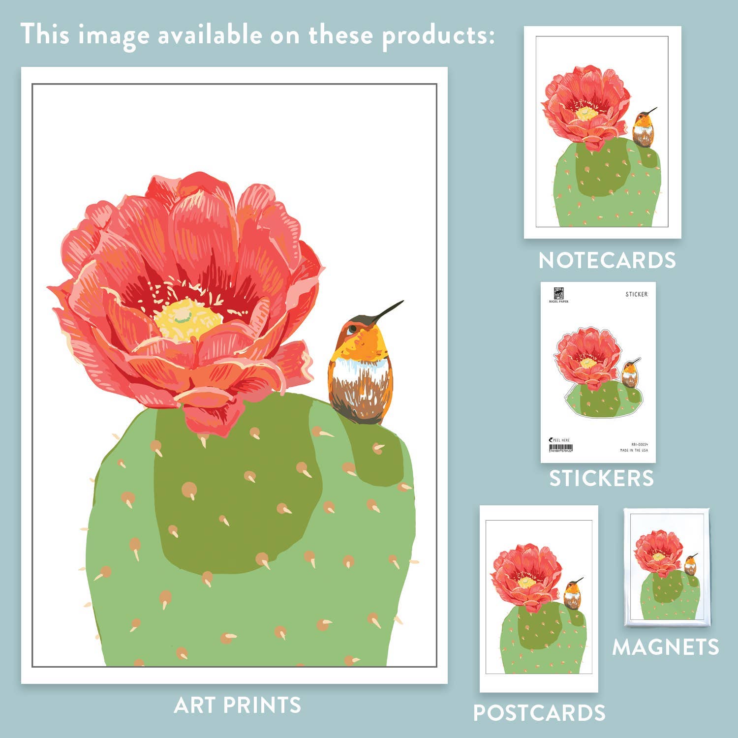 Hummingbird & Desert Cactus Flower Greeting Card: Greeting Card