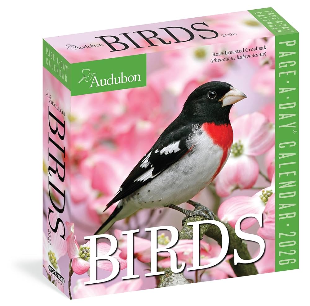 2026 Audubon Birds Page-A-Day Calendar