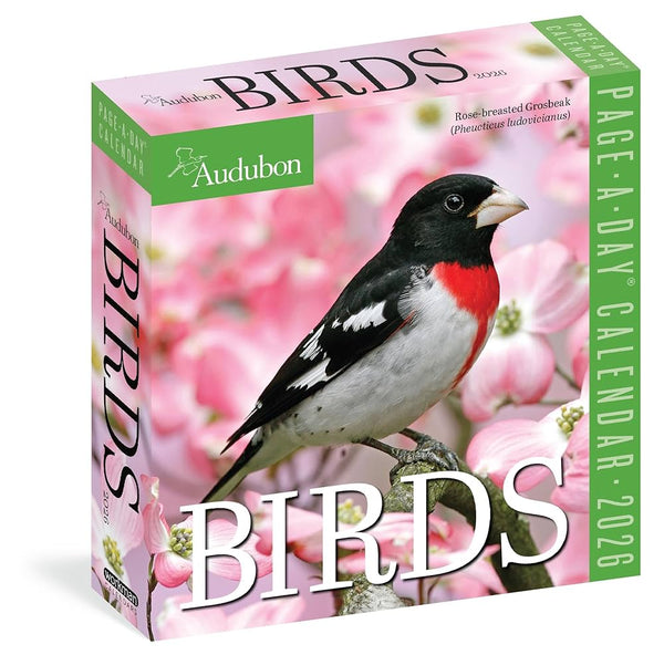 2026 Audubon Birds Page-A-Day Calendar