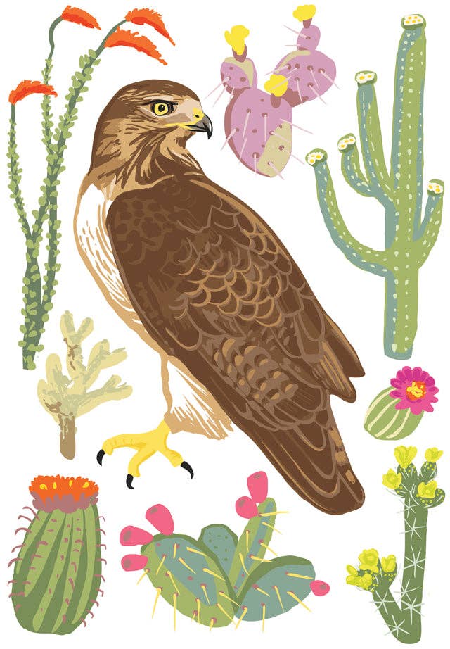 Red-Tailed Hawk and Cacti Magnet