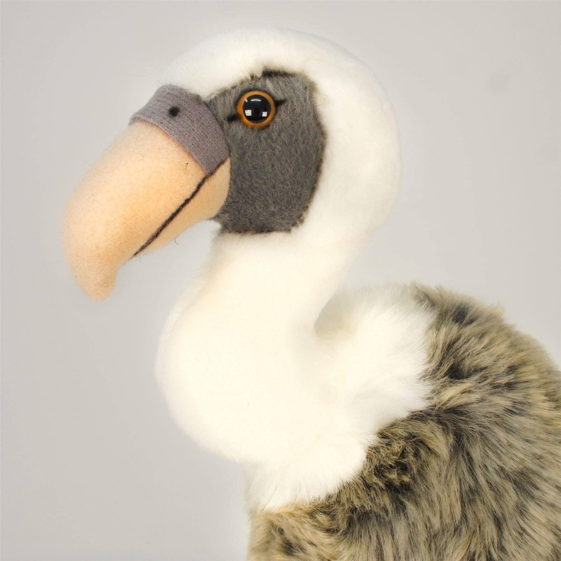 Violet The Vulture