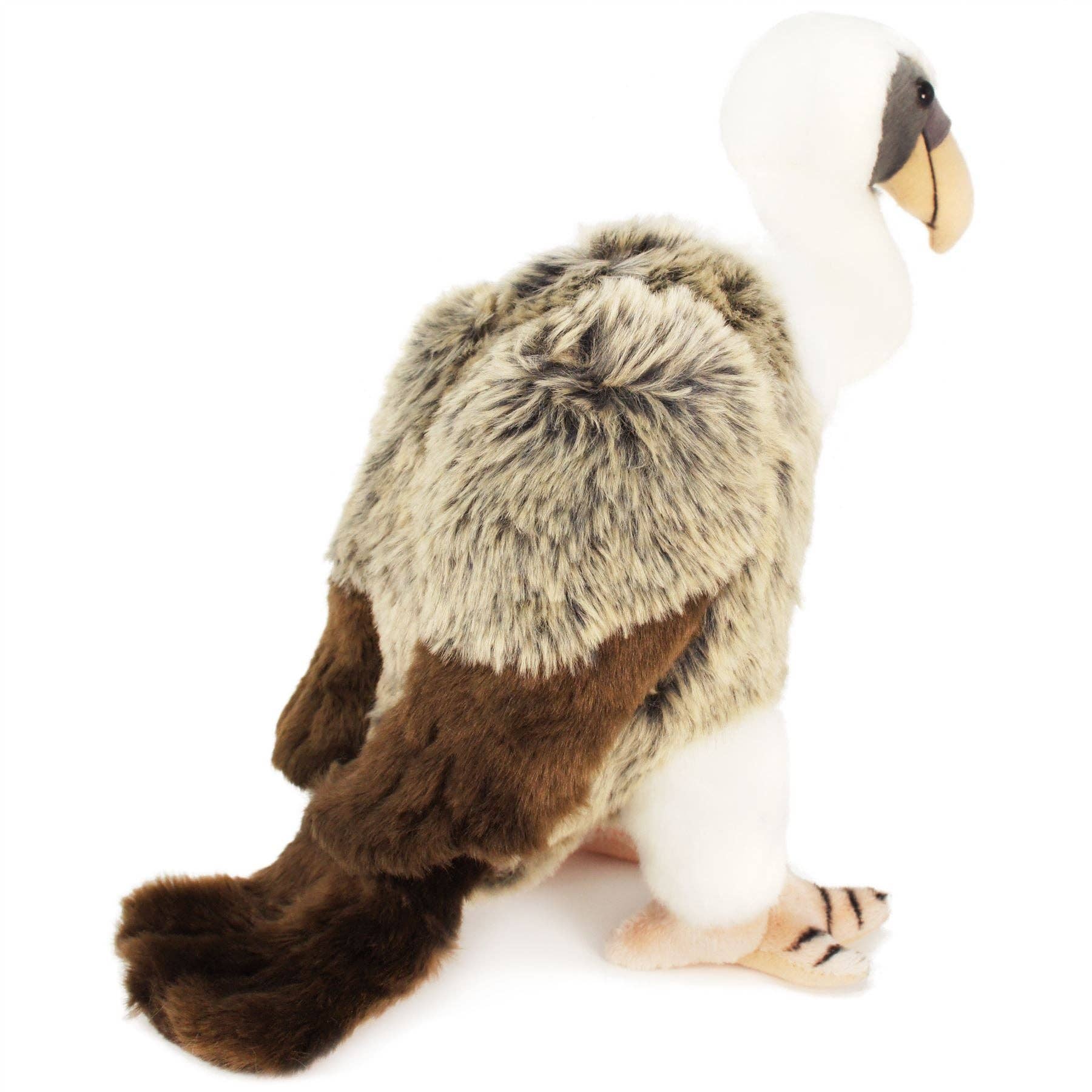 Violet The Vulture