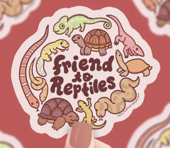 Vinyl Stickers by Turtle's Soup (Local Artist)