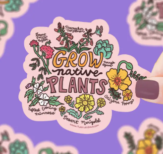 Vinyl Stickers by Turtle's Soup (Local Artist)