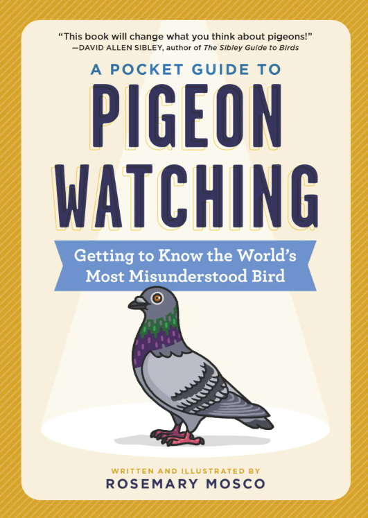 A Pocket Guide to Pigeon Watching: Getting to Know the World's Most Misunderstood Bird