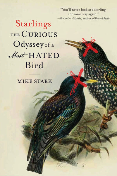 Starlings by Mike Stark