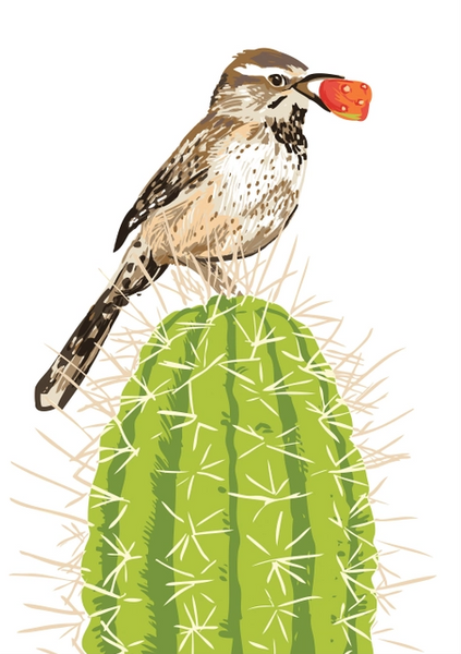 Cactus Wren with Fruit Magnet